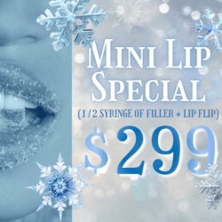Frozen Mini Lip Special