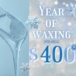 Frozen Sale: Year of Waxing (per area)